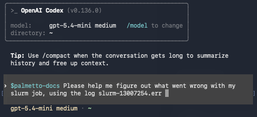 Codex prompt using the palmetto-docs skill