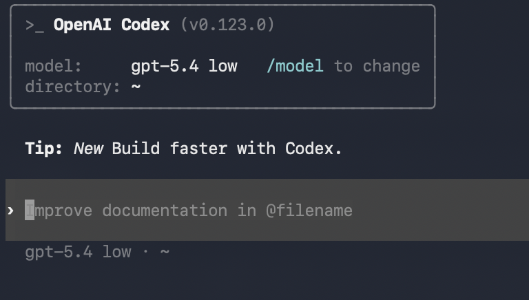 Screenshot of the Codex CLI running in a terminal session
