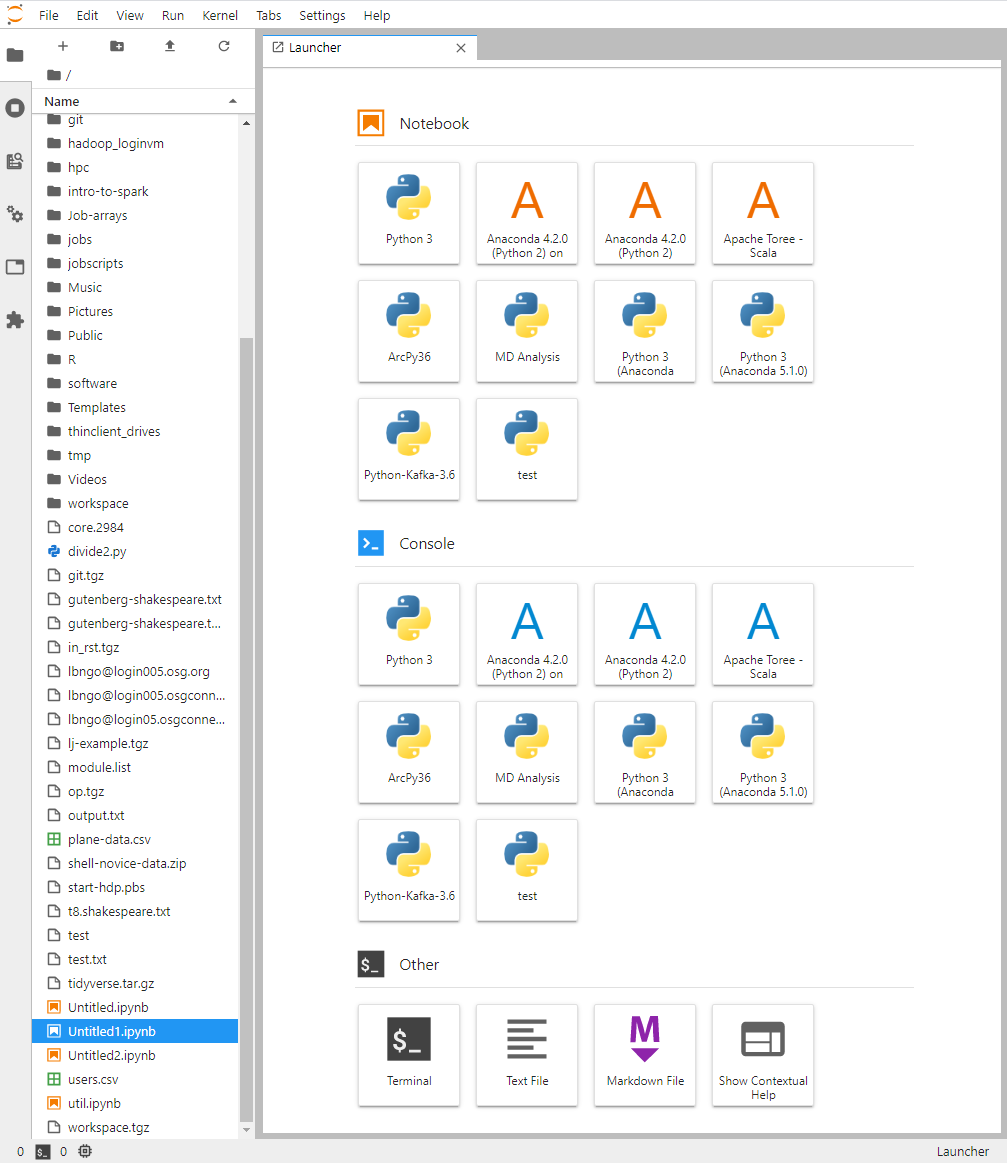 Screenshot of the JupyterLab dashboard.