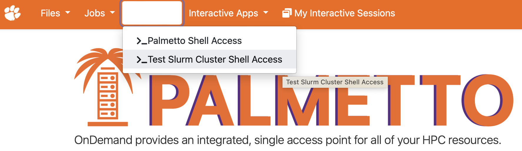 Palmetto Shell Access
