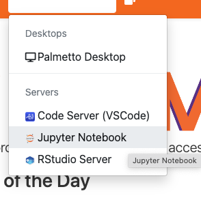 Select Jupyter Notebook